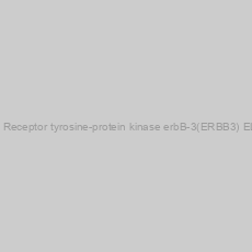 Image of Human Receptor tyrosine-protein kinase erbB-3(ERBB3) ELISA kit